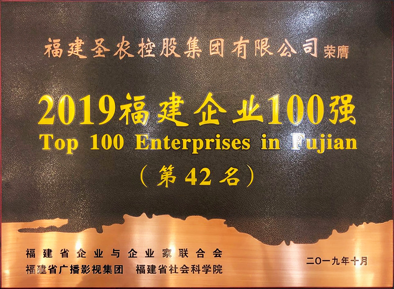 2019（腾博会集团）福建企业100强